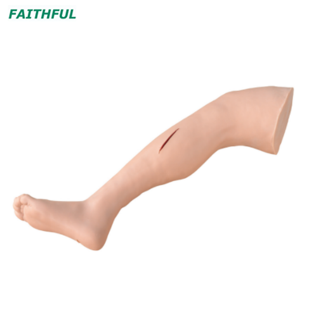 XC-439/440 Advanced Suture Practice Arm/Leg