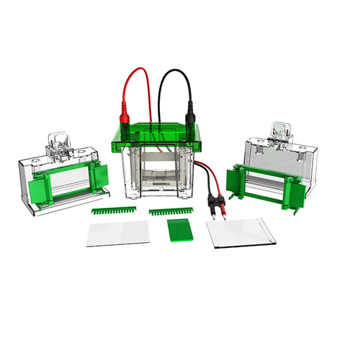 Protein Electrophoresis & Transblot System FL-Mini01