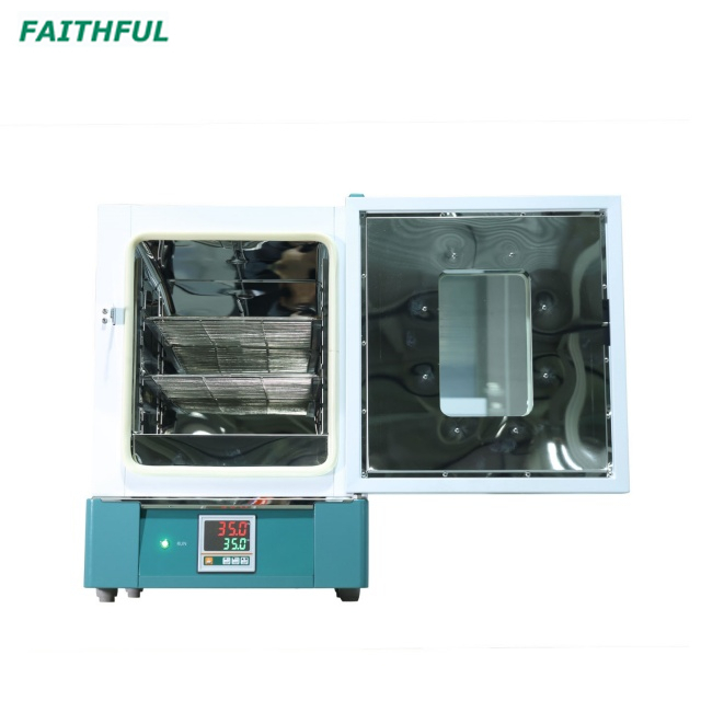 Constant-temperature Drying Oven