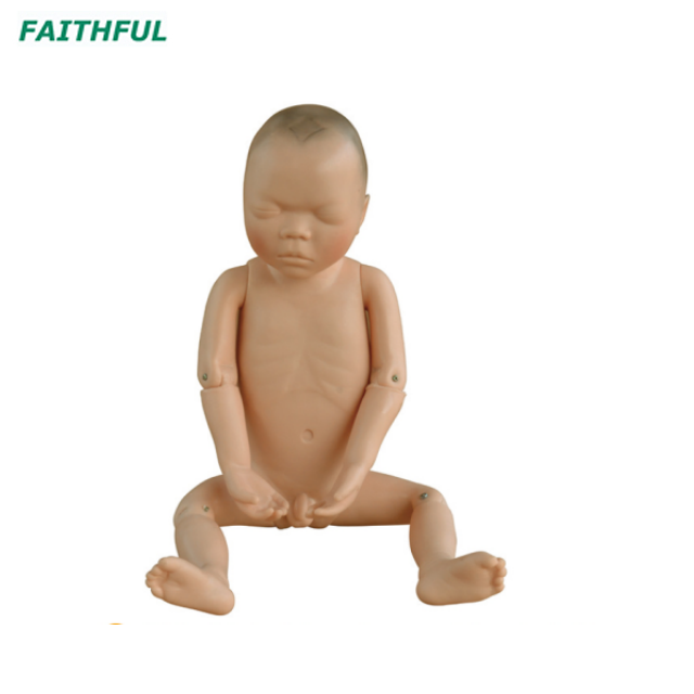 XC-409 Series Newborn Model