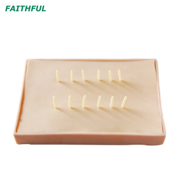 XC-455 Assessment Guidance Model for Hemostatic of Surface Blutpunkte