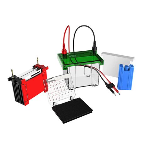 Protein Electrophoresis & Transblot System FL-ZY02