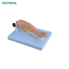 XC-485 Advanced Infant Venipuncture Leg