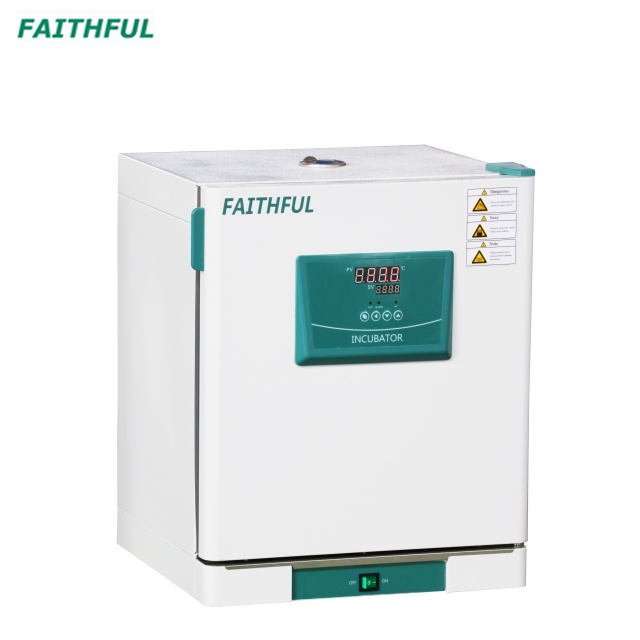 Constant-Temperature Incubator DH-BII