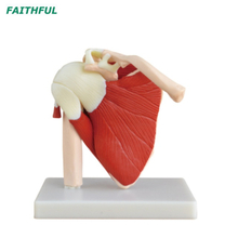 Shoulder Joint XC-109 Series 