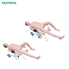 XC-401A-2/XC-401B-2 Advanced Nurse Training Doll with Blood Pressure Training Arm (Male/Female)