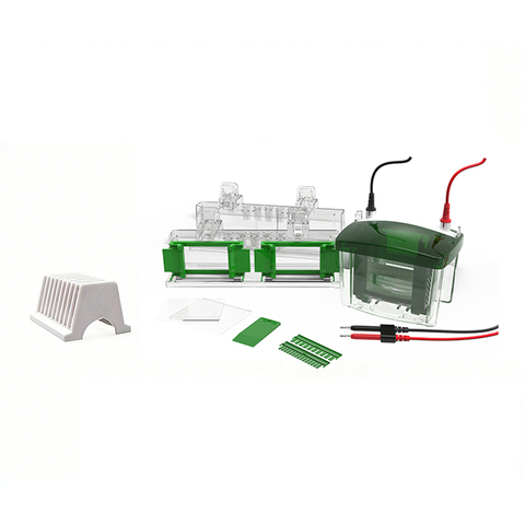 Protein Electrophoresis & Transblot System FL-Mini04