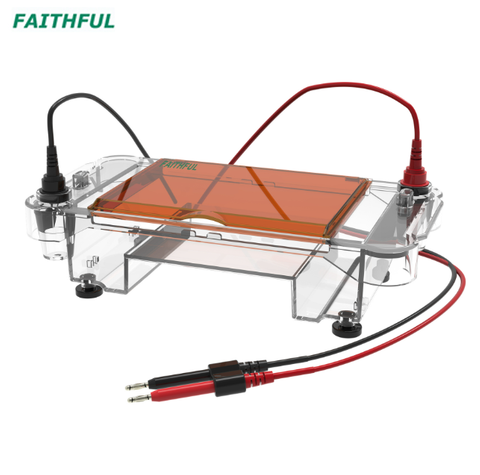 Agarose Gel Horizontal Electrophoresis Cell FL-Sub03/FL-Sub03+