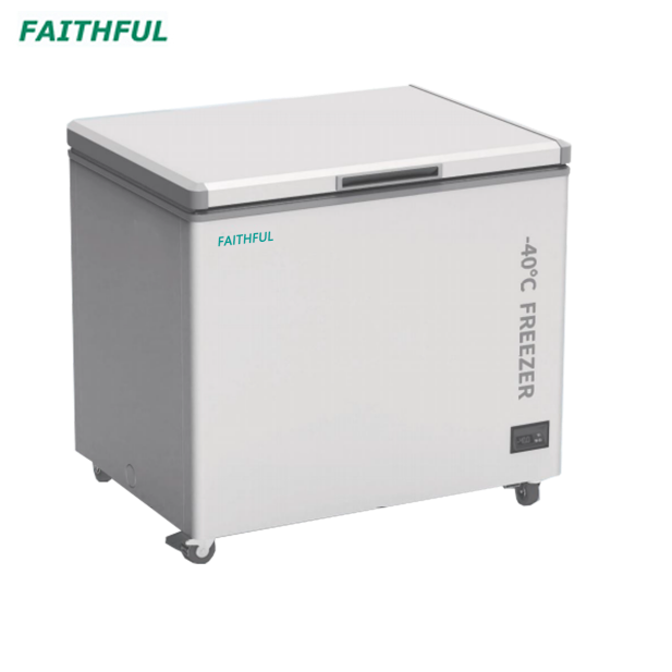 Horizontal Low Temperature Freezer