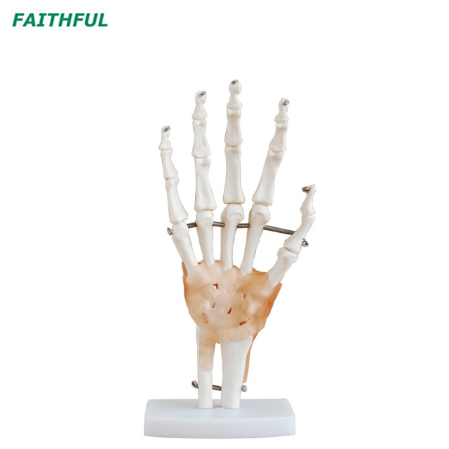 Hand Joint XC-114 Series