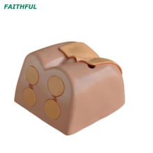 XC-468 Prostate Examination Simulator