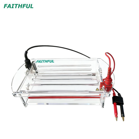 Cellulose Acetate Membrane Electrophoresis Cell FL-CS01