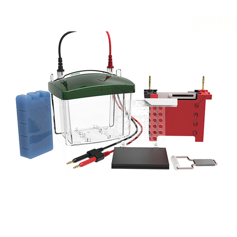 Protein Electrophoresis & Transblot System FL-ZY03
