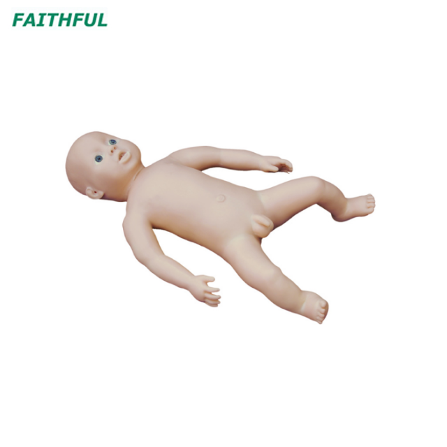XC-409 Series Newborn Model