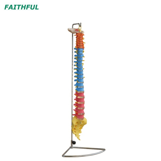 Column Modle XC-107series