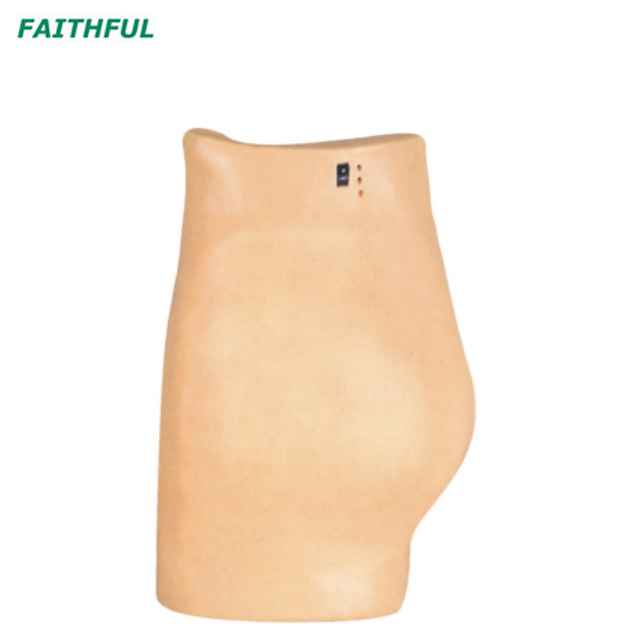 XC-431 SeiButtock Injection Model