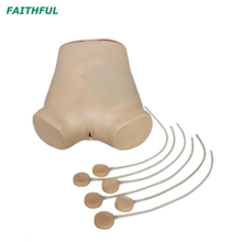 XC-464 Abdominal Puncture Model