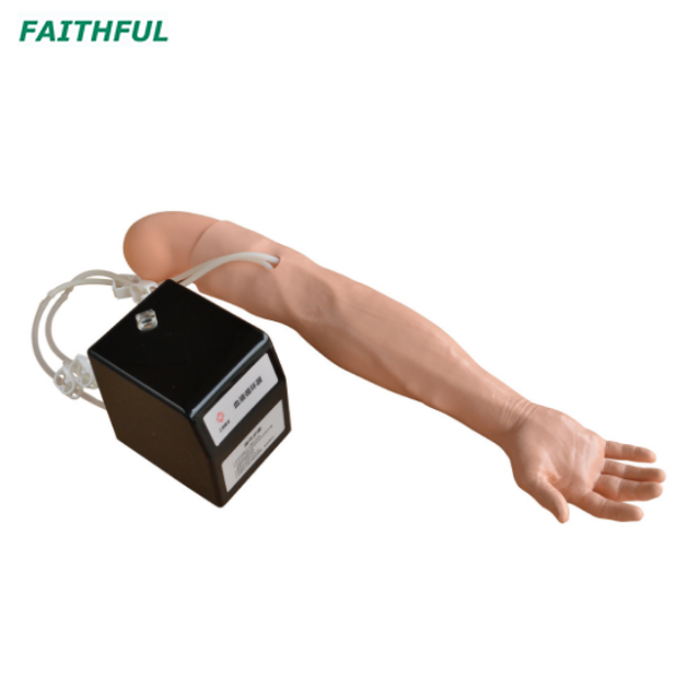 XC-446 Series Training Arm