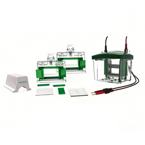 Protein Electrophoresis & Transblot System FL-Mini02