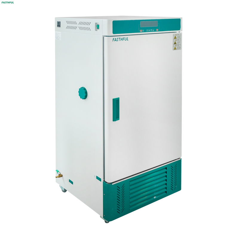 Constant Temperature and Humidity Incubators