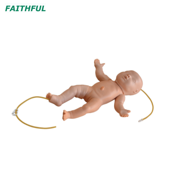 XC-483 Advanced Infant Full Body Venipuncture Simulator