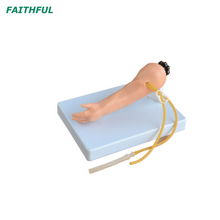 XC-484 Advanced Infant Venipuncture Arm