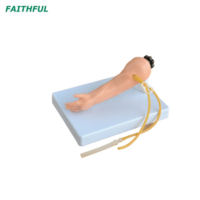 XC-484 Advanced Infant Venipuncture Arm