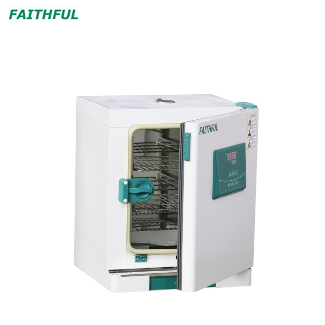 Constant-Temperature Incubator DH-BII