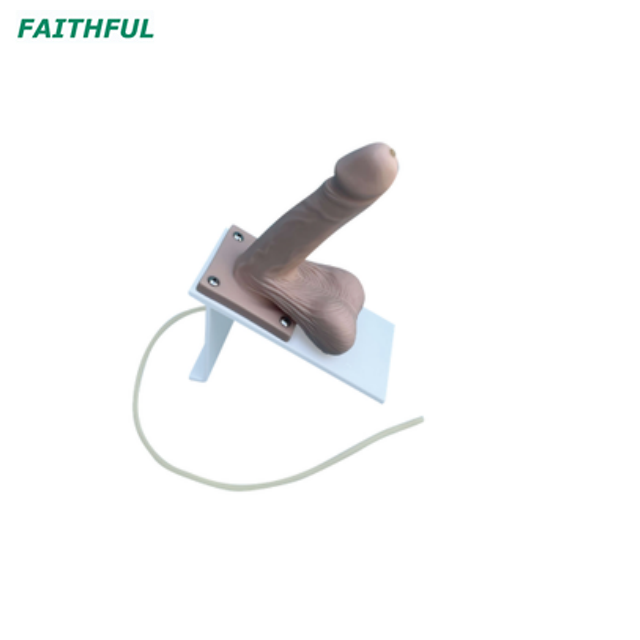 XC-417B Male Condom Simulator