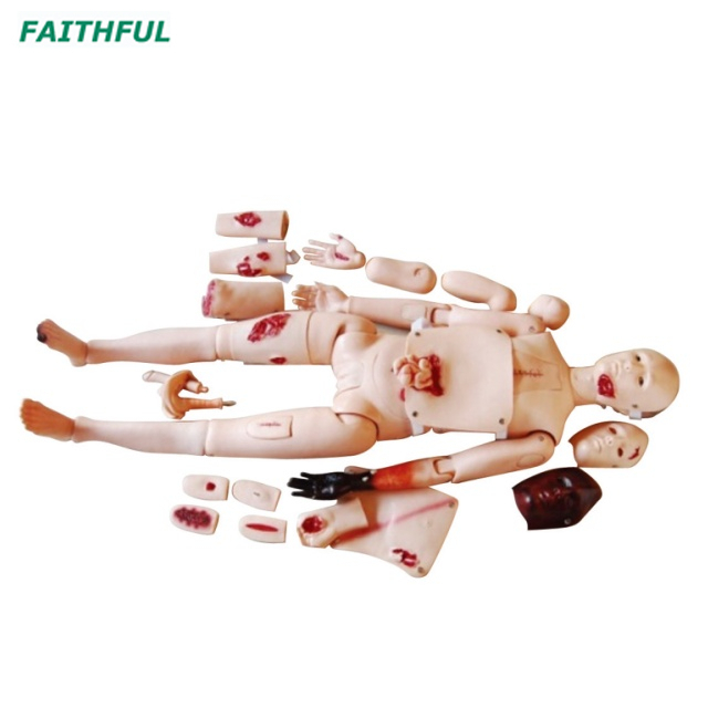 XC-401D Advanced Trauma Simulator
