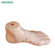 XC-510 Foot Acupuncture Model 13CM