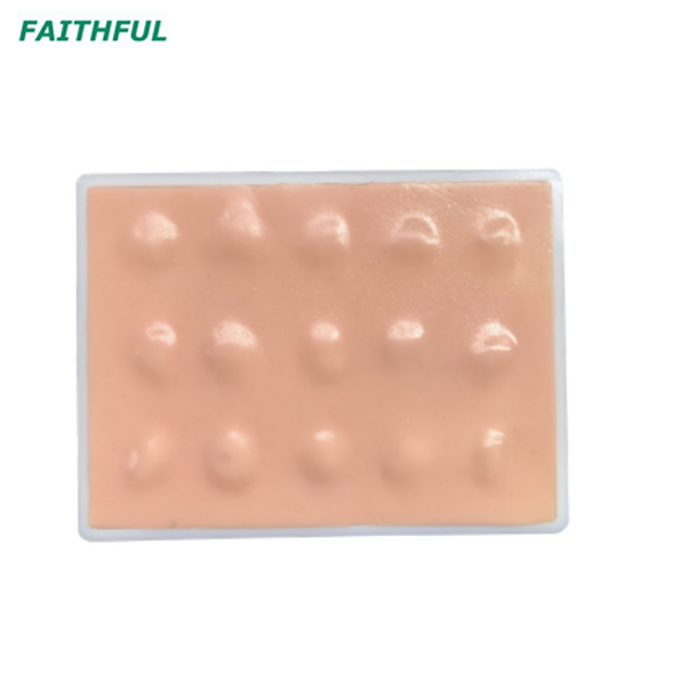 XC-443 Sebaceous Cyst Excision Model
