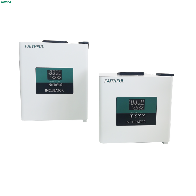 Portable Incubator