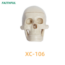 XC-106 Miniature Plastic Skull