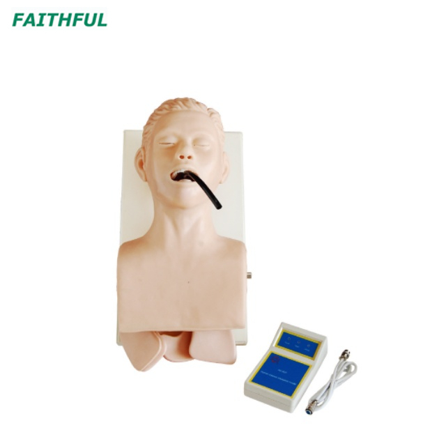 XC-407Series Human Trachea Intubation Model