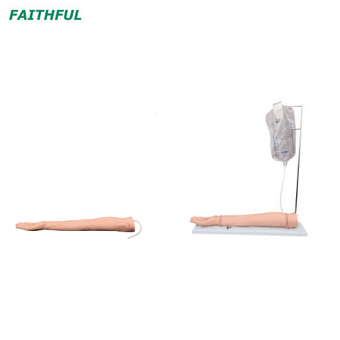 XC-434 Series Injectable Training Arm Model 