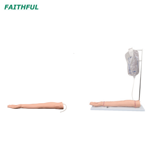 XC-434 Series Injectable Training Arm Model 