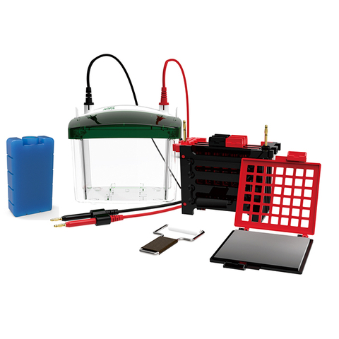 Protein Electrophoresis & Transblot System FL-ZY04