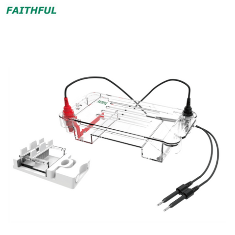 Agarose Gel Horizontal Electrophoresis Cell FL-Sub01