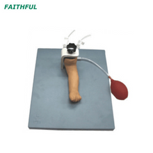 XC-486 Infant Artery Puncture Arm