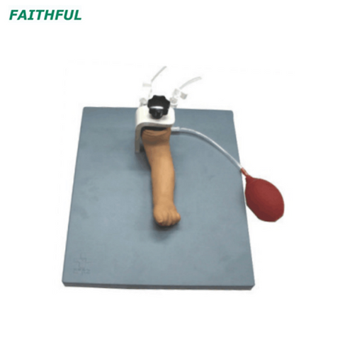 XC-486 Infant Artery Puncture Arm