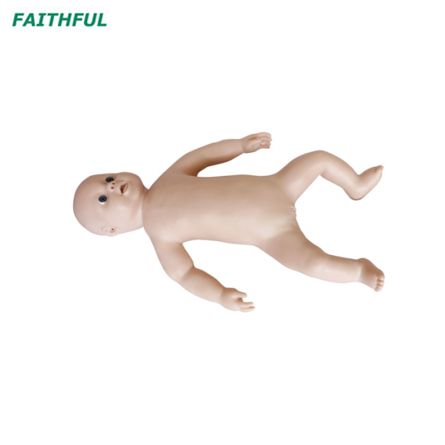 XC-409 Series Newborn Model