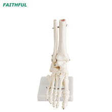 Foot Joint XC-113 Series 