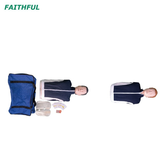 XC-404A/XC-404B Electronic Half-body CPRTraining Manikin (Male/Female)