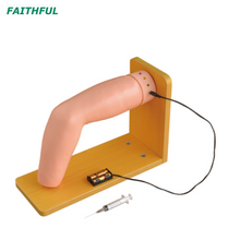 XC-466 Elbow Joint Intracavitary Injection Simulator