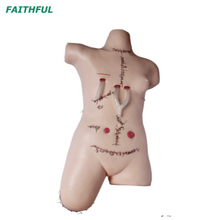 XC-471 Surgical Suture and Bandaging Model