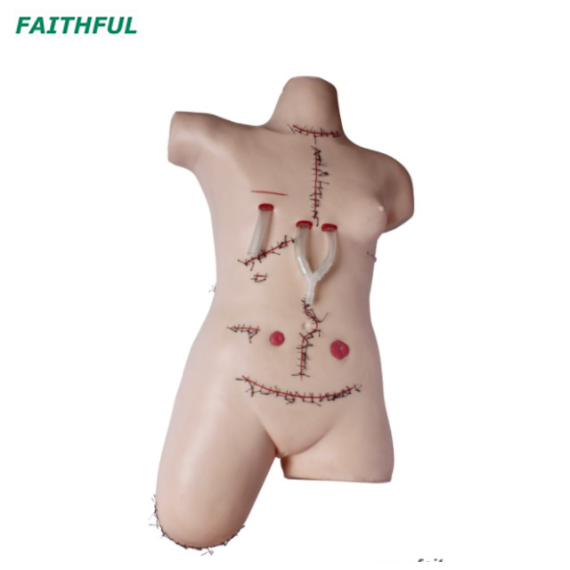 XC-471 Surgical Suture and Bandaging Model