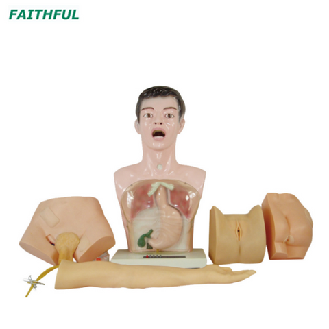 XC-405 Nurse Basic Practice Teaching Model