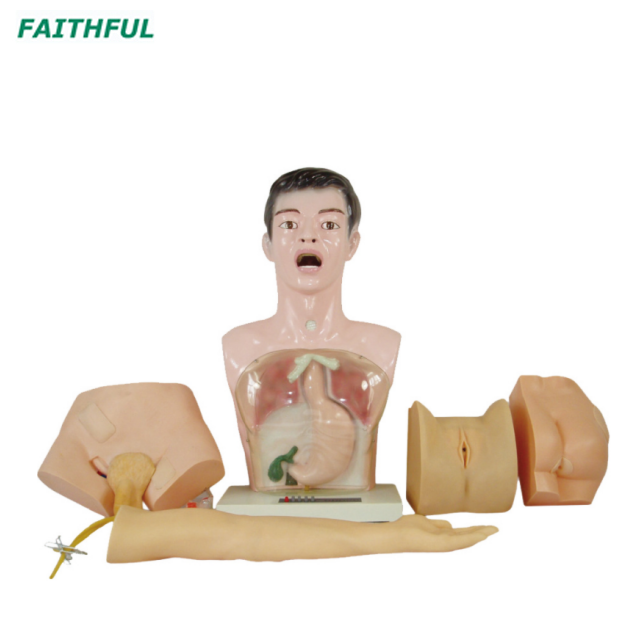 XC-405 Nurse Basic Practice Teaching Model
